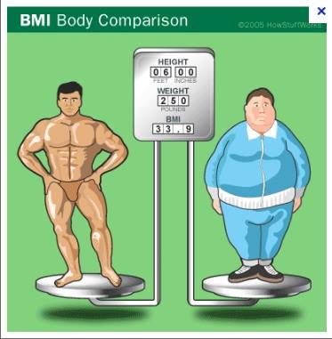 valutazione del peso con BMI - Personal Trainer Bologna